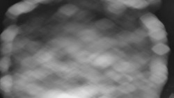 Bílá - běžecká trať