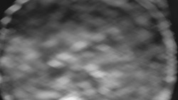 Bílá - běžecká trať