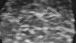 Bílá - běžecká trať