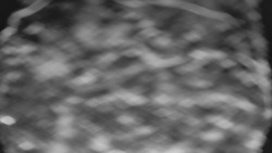 Bílá - běžecká trať