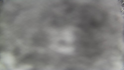 Bílá - běžecká trať