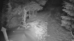 Bílá - běžecká trať