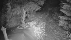 Bílá - běžecká trať