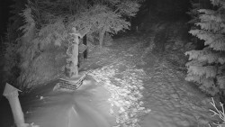 Bílá - běžecká trať