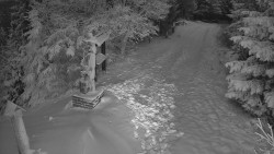 Bílá - běžecká trať