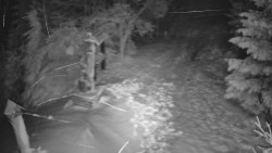 Bílá - běžecká trať