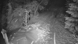 Bílá - běžecká trať