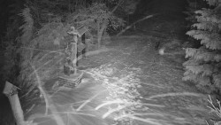 Bílá - běžecká trať