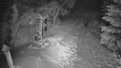 Bílá - běžecká trať