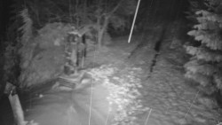 Bílá - běžecká trať