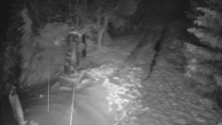 Bílá - běžecká trať