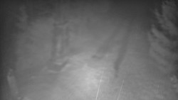 Bílá - běžecká trať