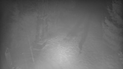 Bílá - běžecká trať