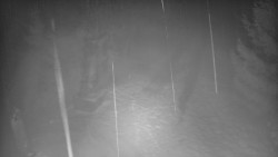 Bílá - běžecká trať