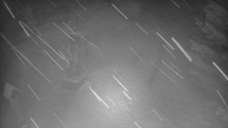 Bílá - běžecká trať