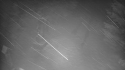 Bílá - běžecká trať