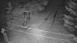 Bílá - běžecká trať