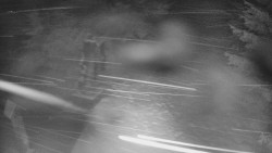 Bílá - běžecká trať