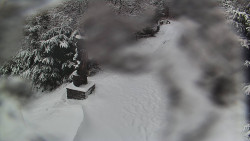 Bílá - běžecká trať