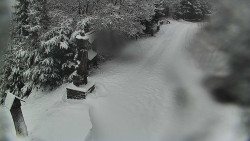 Bílá - běžecká trať