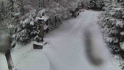 Bílá - běžecká trať