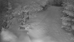 Bílá - běžecká trať