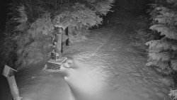 Bílá - běžecká trať