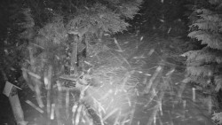 Bílá - běžecká trať