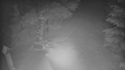 Bílá - běžecká trať