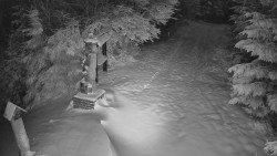 Bílá - běžecká trať