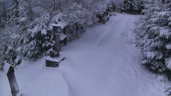 Bílá - běžecká trať