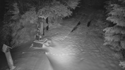 Bílá - běžecká trať