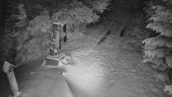 Bílá - běžecká trať