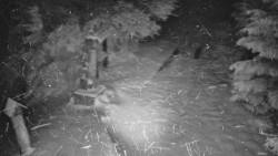 Bílá - běžecká trať