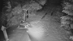 Bílá - běžecká trať