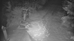 Bílá - běžecká trať