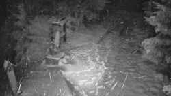 Bílá - běžecká trať