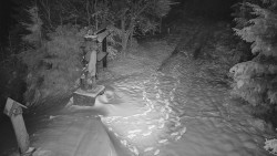 Bílá - běžecká trať