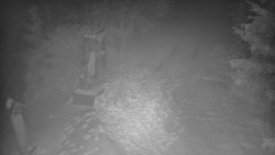 Bílá - běžecká trať