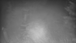 Bílá - běžecká trať