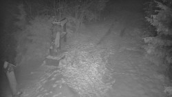 Bílá - běžecká trať