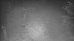 Bílá - běžecká trať