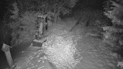 Bílá - běžecká trať