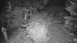 Bílá - běžecká trať