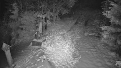 Bílá - běžecká trať