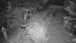 Bílá - běžecká trať