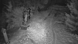 Bílá - běžecká trať