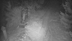 Bílá - běžecká trať