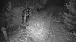 Bílá - běžecká trať