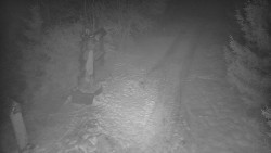 Bílá - běžecká trať